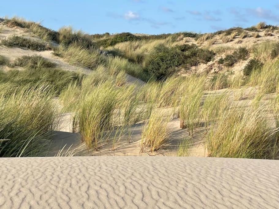 Charmante Maison Individuelle Proche Du Touquet Cucq Luaran gambar