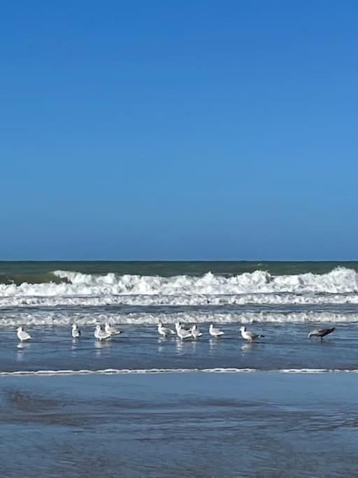 Charmante Maison Individuelle Proche Du Touquet Cucq Luaran gambar