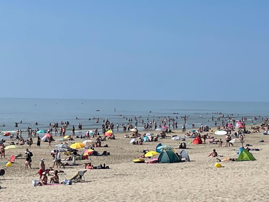 Charmante Maison Individuelle Proche Du Touquet Cucq Luaran gambar